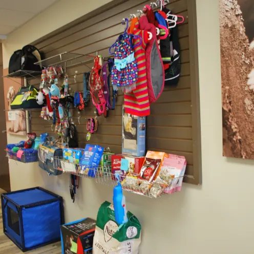Humane Society Donation Wall with dog toys and treats at Animal Care Center of Plainfield